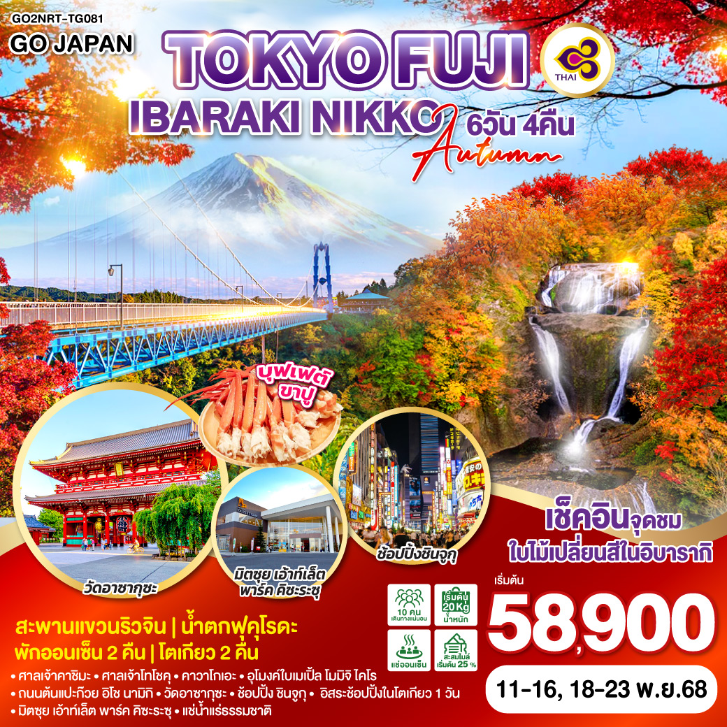 ทัวร์ญี่ปุ่น TOKYO FUJI IBARAKI NIKKO AUTUMN 6วัน 4คืน (TG)